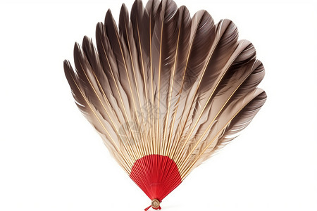 传统羽毛扇背景图片