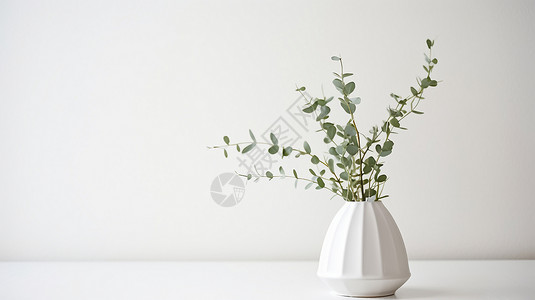 白色的陶瓷花瓶图片