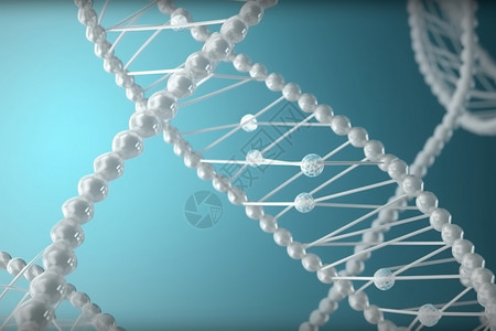 人体遗传基因分子3D概念图图片
