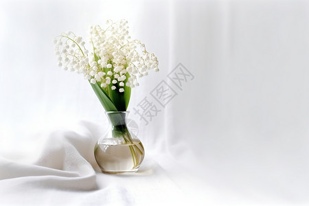 水培的铃兰花背景图片
