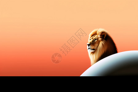 霸气的狮子背景图片