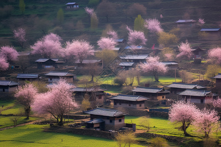 桃花和房子美丽桃花园背景