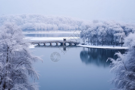 大雪覆盖的公园美景图片