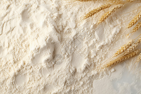 主食厨房小麦制成的面粉背景