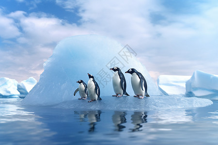 企鹅冰川南极的企鹅设计图片