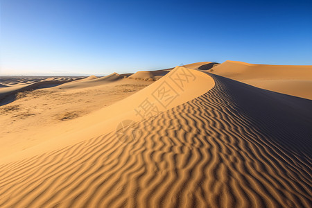美丽的沙漠背景图片
