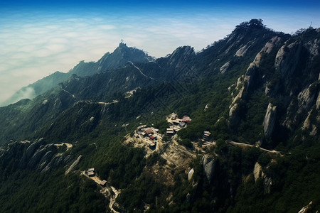 山顶林间风景图片