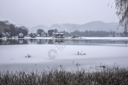 冬季湖景结冰的公园湖景背景