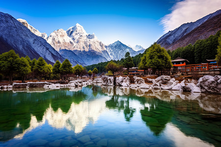 红果花枝和月丽江玉龙雪山背景