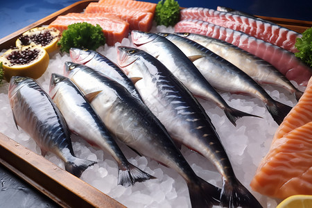 海鲜鱼类健康的鱼肉背景