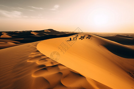 沙漠的沙丘图片