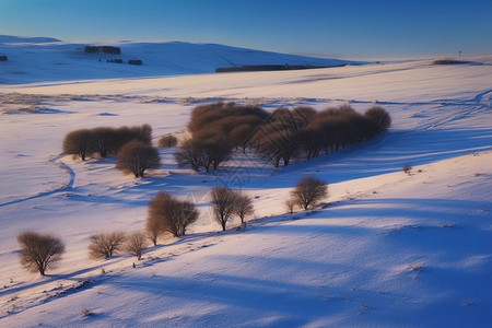 冬天草原风景图片