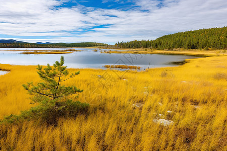 美丽的秋天草原湖泊风景图片