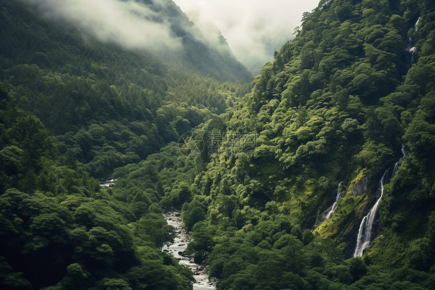 远景陡峭雨林图片