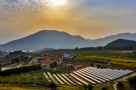 乡村田园景观图片