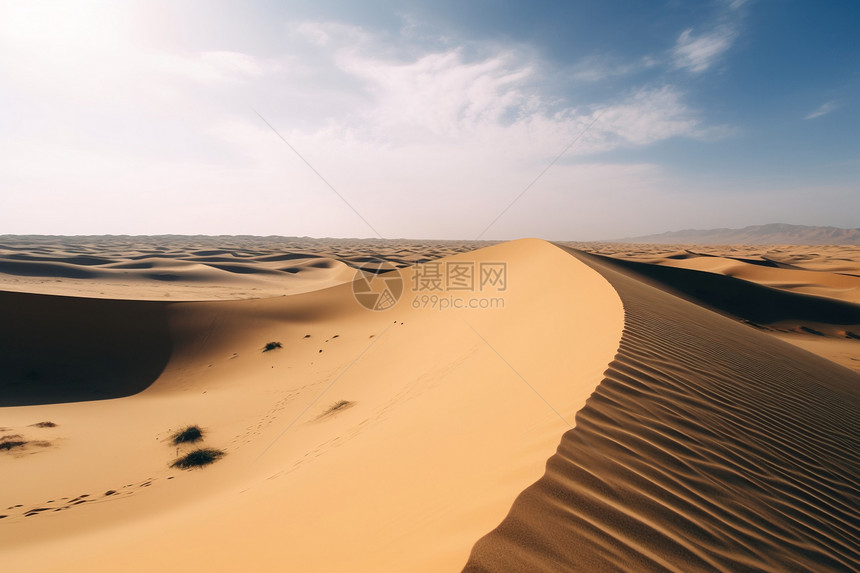 干燥的沙漠图片