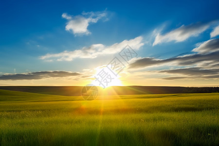阳光和草原背景图片