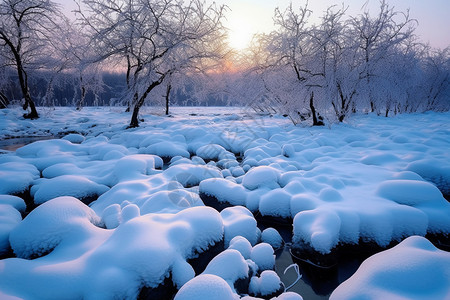 极地雪景图片