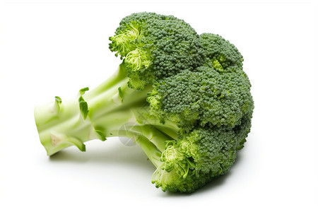 绿色蔬菜的特写营养健康绿色蔬菜插画