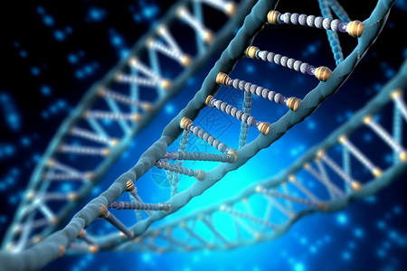 人体DNA链的概念图图片