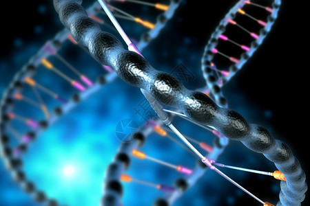 生物学DNA链的概念图高清图片