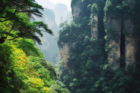 三千峰林八百水图片