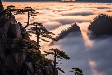 栾川老君山黄山迎客松背景