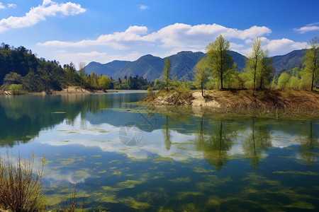 平静的湖和风景图片