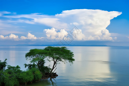 蓝天下平静的海面图片