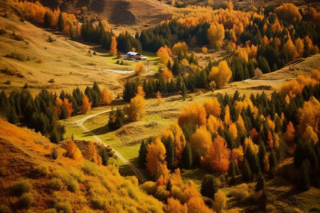 秋季山区美景植物高清图片素材