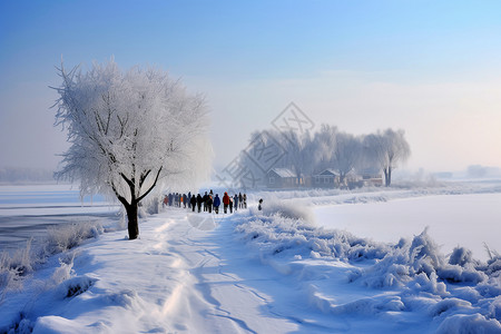 冬天下雪风景景观高清图片素材