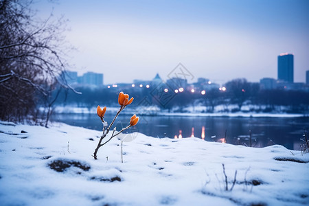 城市的景观比赛冬季高清图片素材