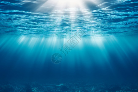 海洋世界素材阳光照射的海洋设计图片
