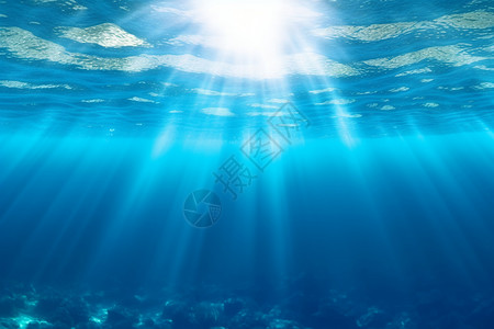 海洋日清澈的海底世界设计图片
