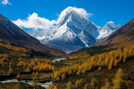 广阔的雪山风景图片