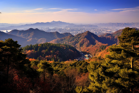 秋天的山景背景图片