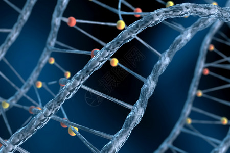 生物DNA结构图片