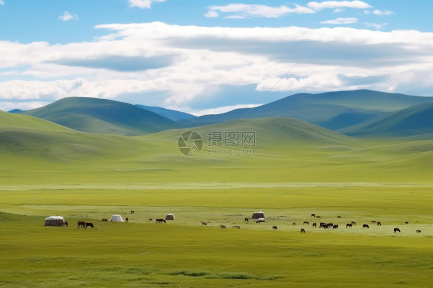 马牛羊在草原上吃草图片