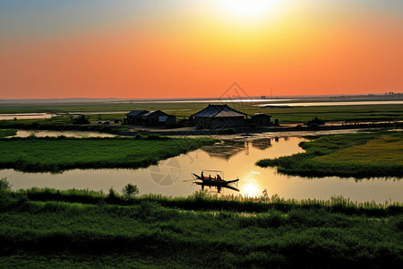 沼泽地风景背景图片