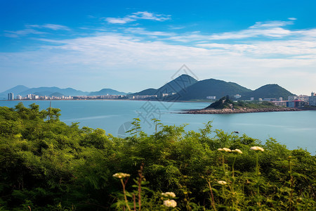 夏季东平镇的自然景观高清图片