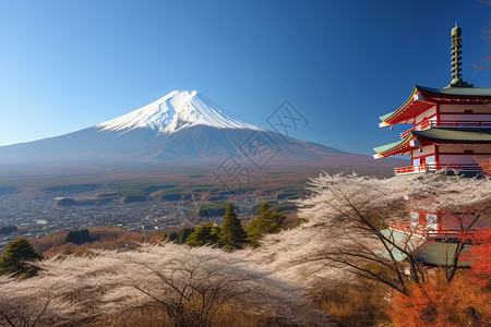 春天的富士山景观背景图片