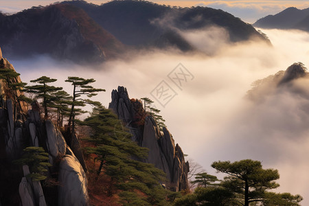 黄山美丽的风景云海高清图片素材