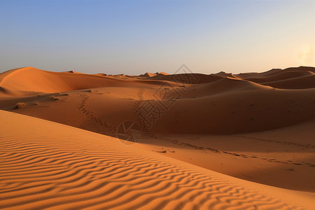 沙漠的美丽风景图片