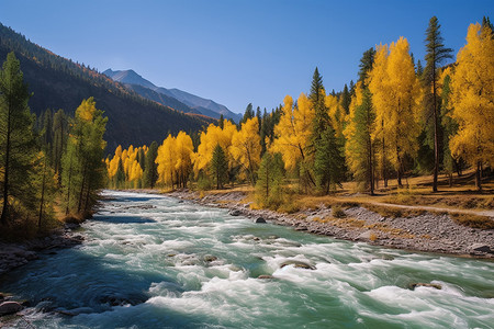 河两边树叶变黄图片