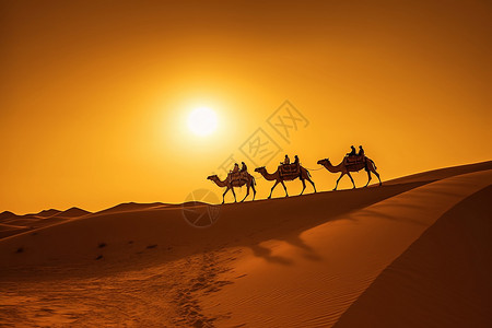 沙漠的落日两个驼峰骆驼高清图片