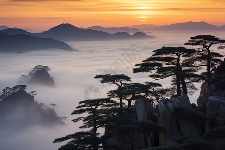 秀丽的美景图片