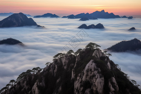 汉拿山奇怪奇怪的松树背景