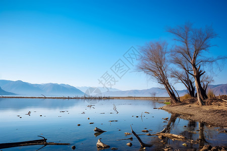 蓝色的湖面景观图片