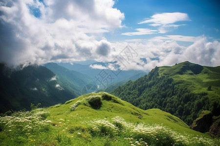 美丽自然的山顶美景图片