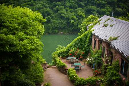 夏季湖边树木小屋院子图片